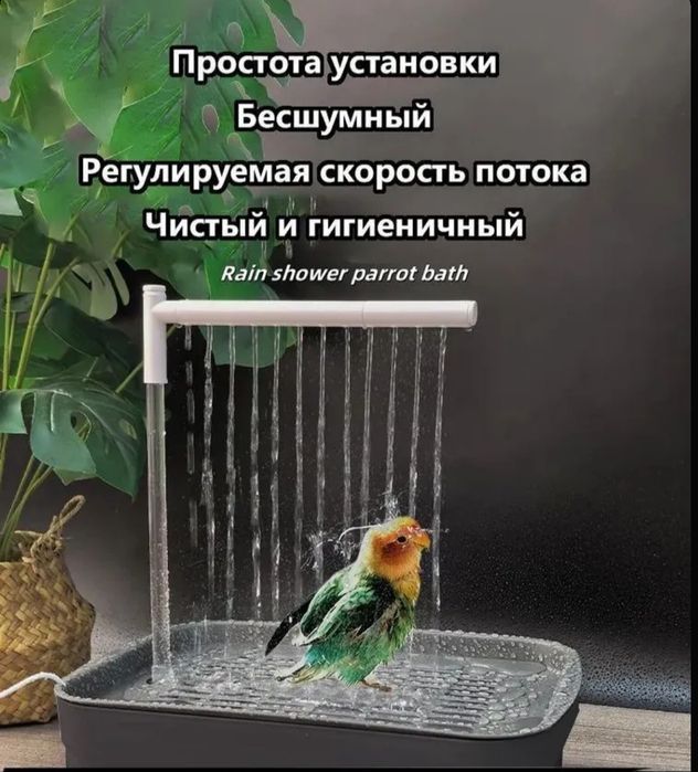 Ванночка душ для птиц