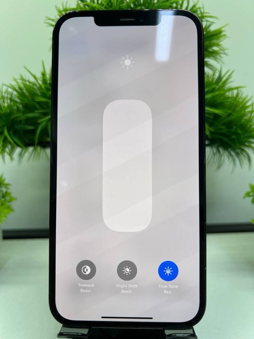 Iphone 12 Pro Max 256 gb