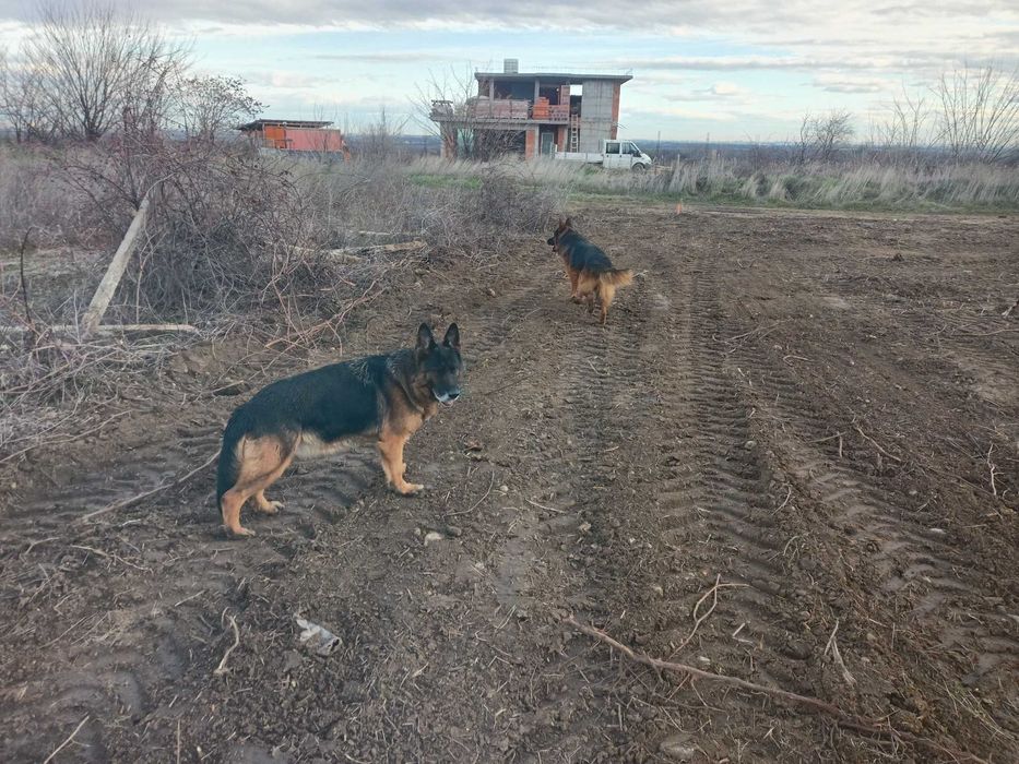 Продава се Парцел в Пловдив, Каменица 1 - 991 кв.м за 18 €/кв.м - Снимка #5