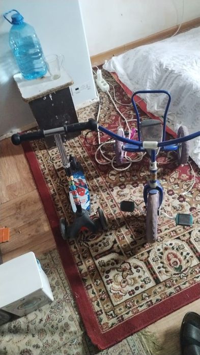 Самакат балдырған.