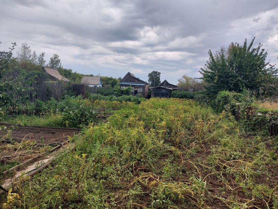 Продам дачный участок