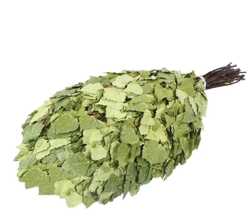 Продам березовые веники