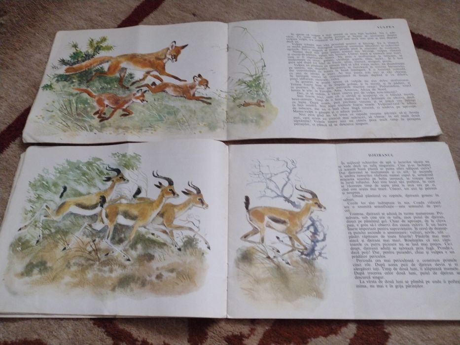 I.Akimuskin - Toți acești câini, Și ele sunt antilope