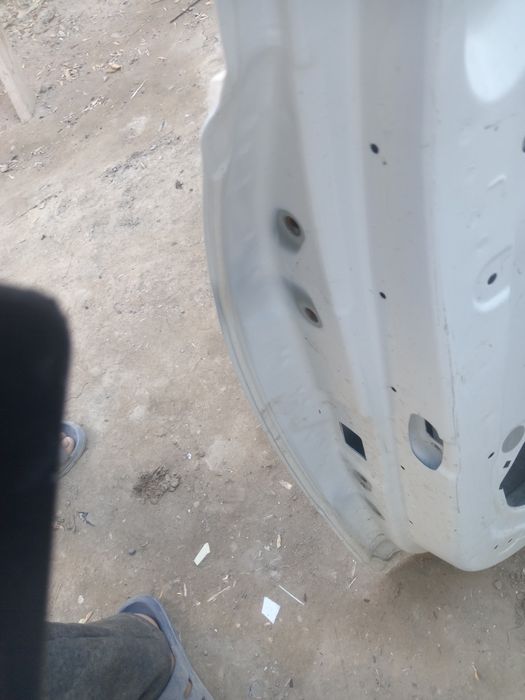 рдплпдозлщощожьхлхо