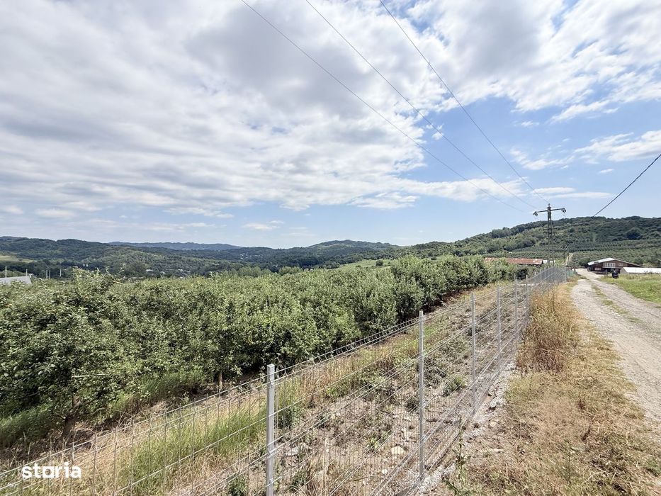 Teren intravilan 2771mp, cu livadă de meri, Breaza - Livada lui David