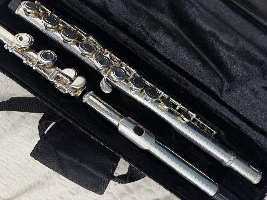 профессиональная флейта