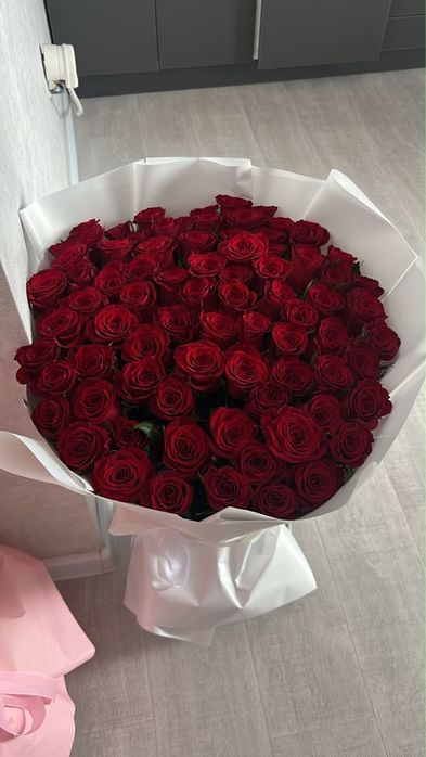 Цветы роза свежий