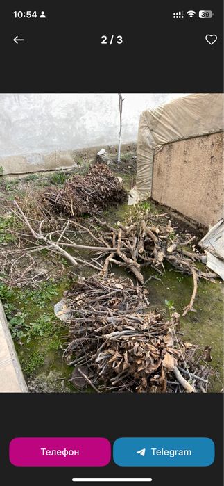 Utin hezum дрова