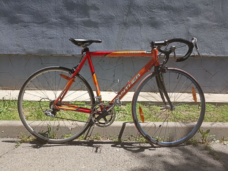 Panther Pro Race 6000 XL