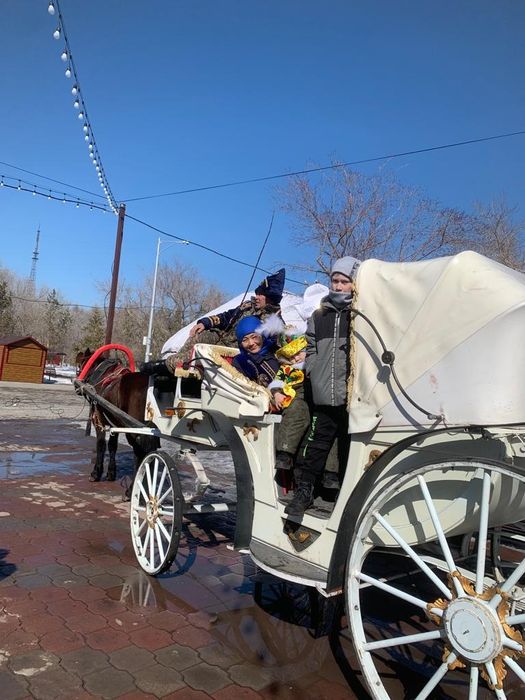 Продам супер лошадь обученный ,