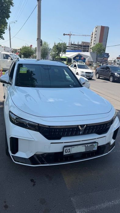 Voyah fee full 318
