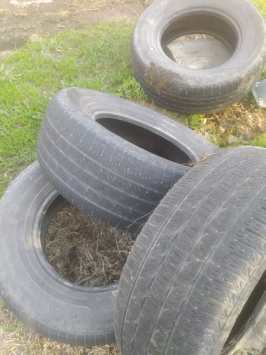 Летняя резина от Прадо