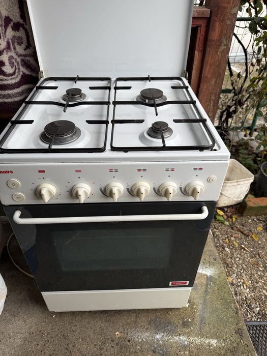 Repar aragaze la domiciliu