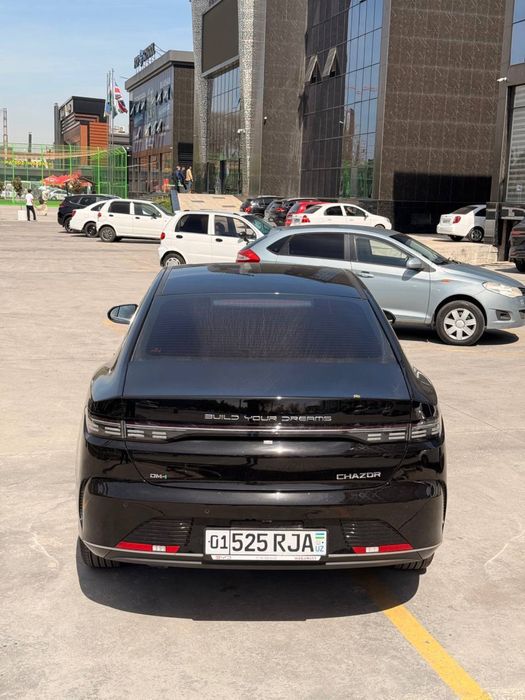 Byd chazor 55 km luxe