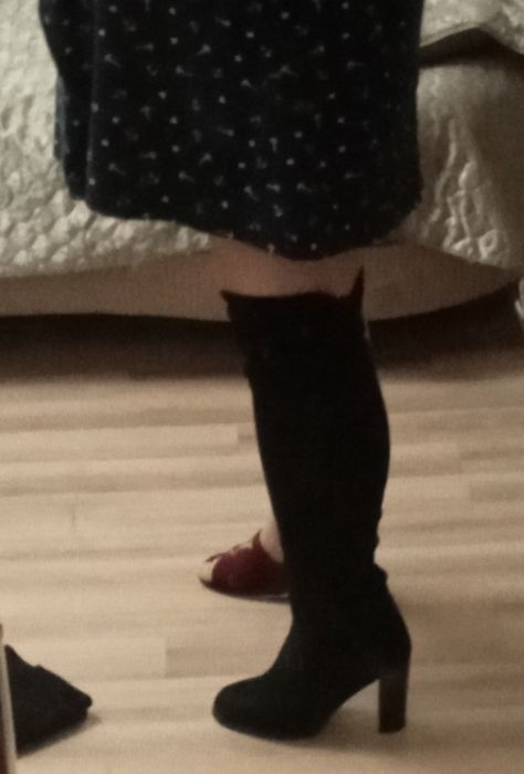 Ботфорты зима европейка