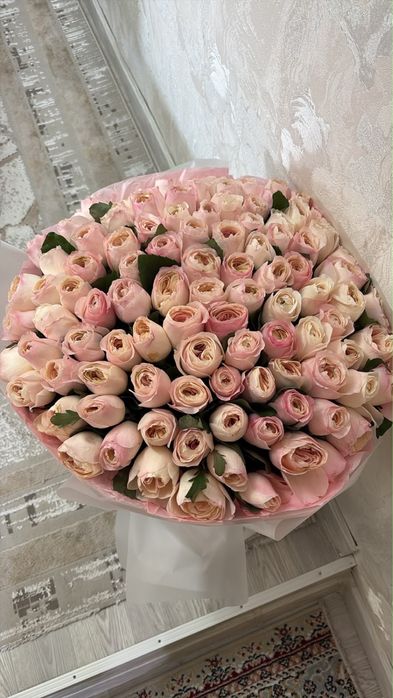 Сып свежый гүл түнде келген