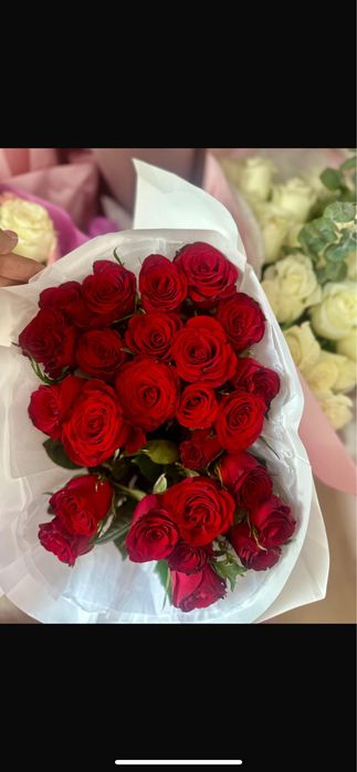 Цветы б/у  роза 25шт Астана