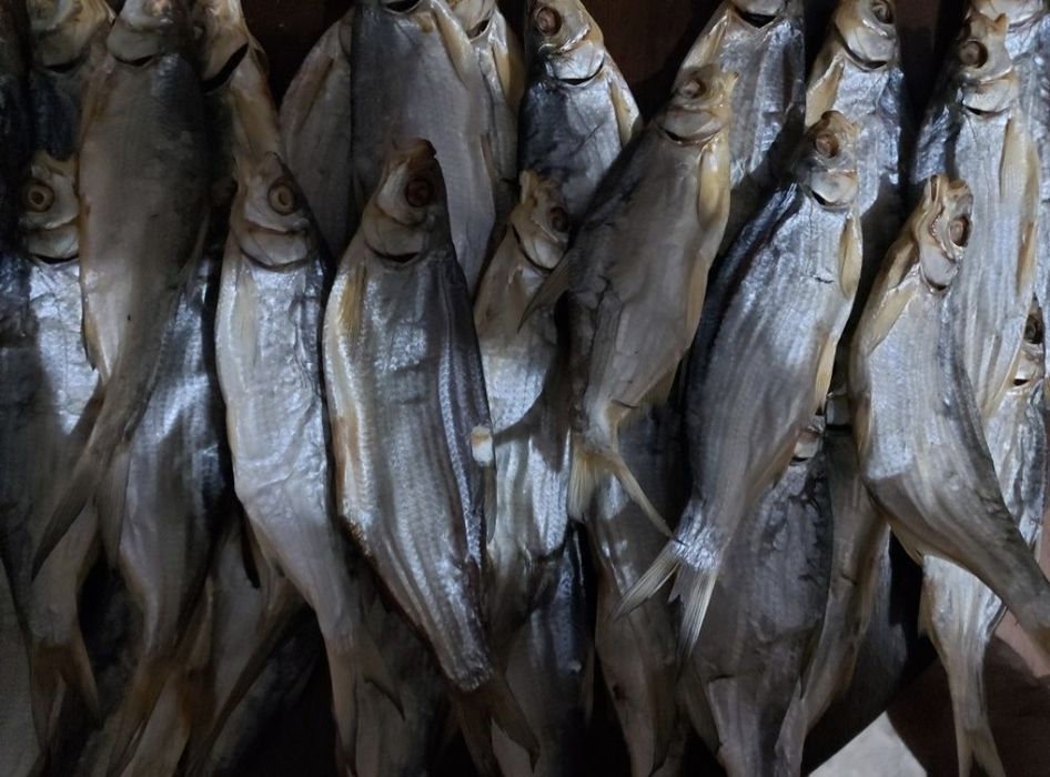 сушёная вяленая рыбец