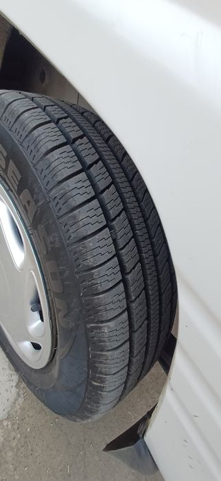 Damas 2024 toza  legenda