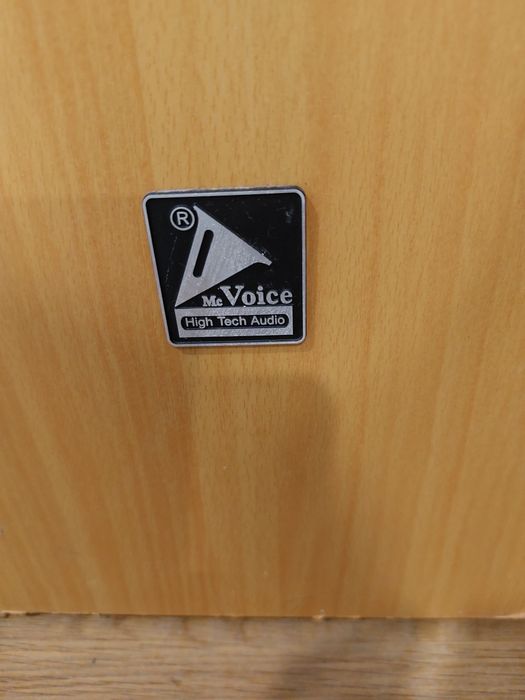 Amplificator Sony cu boxe mari