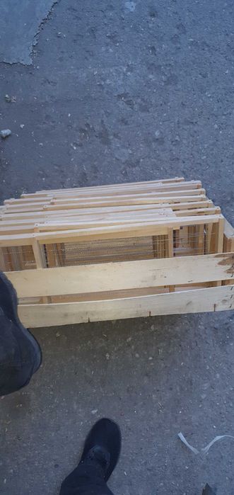 Lichidare stupina-Rame noi-sh-crescutehranitoare-colectoare-centrifuga