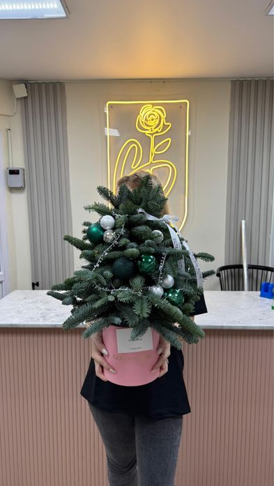 Новогодние композиции с вау эффектом,Kaspi Red