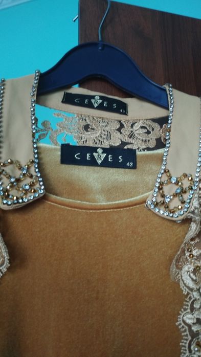 Палатия вечерной