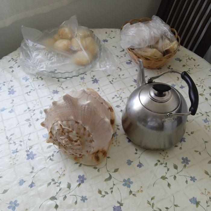 Морская раковина  Рогатый кассиосом