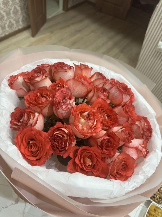 Продам цветы розы