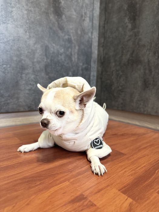 Продается НОВЫЙ комбенизон для собак