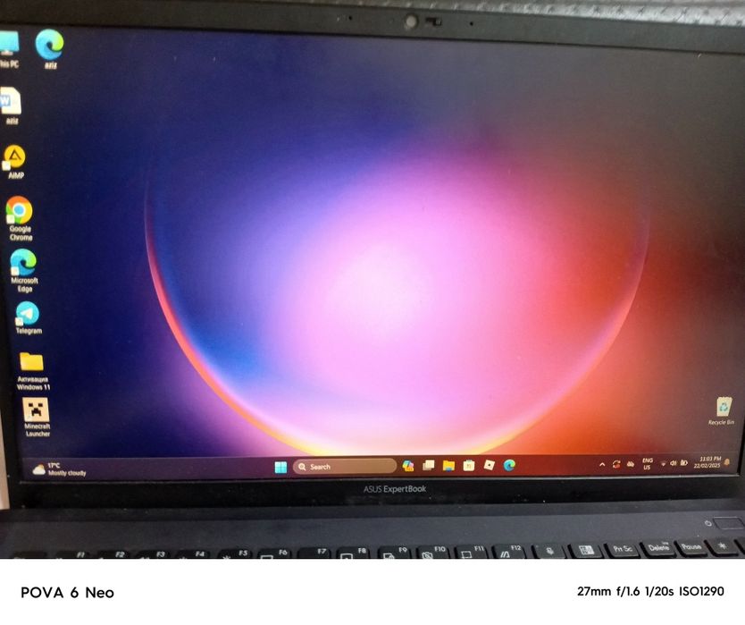 Asus expert Book L1500CD