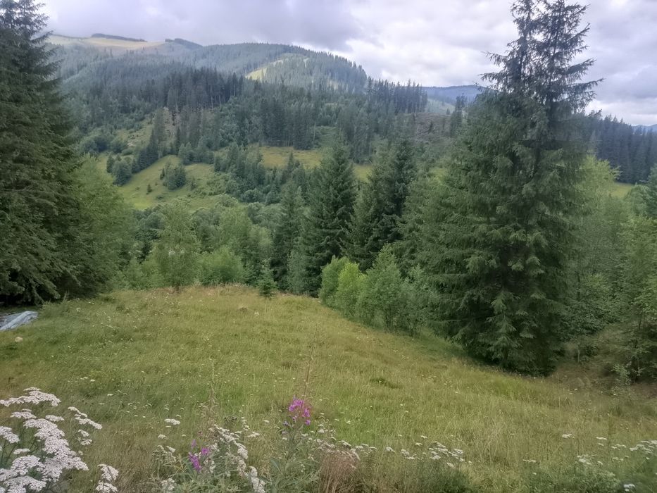 Proprietar vand pământ  extravilan.