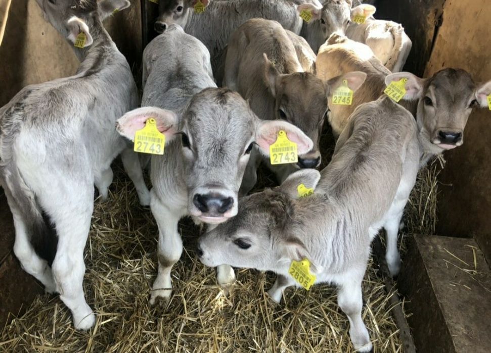 Саты лады  продаю,