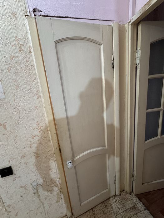 Отдам бесплатно