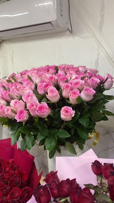 Роза   550 тг штук