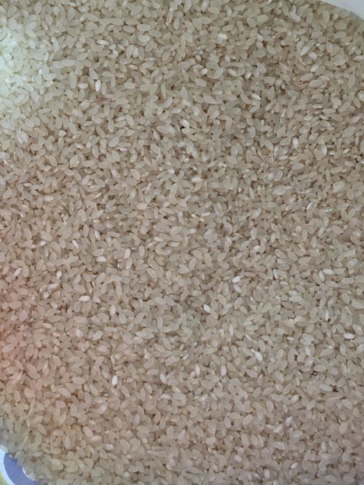 Қызылорда лық күріш, рис, курыш