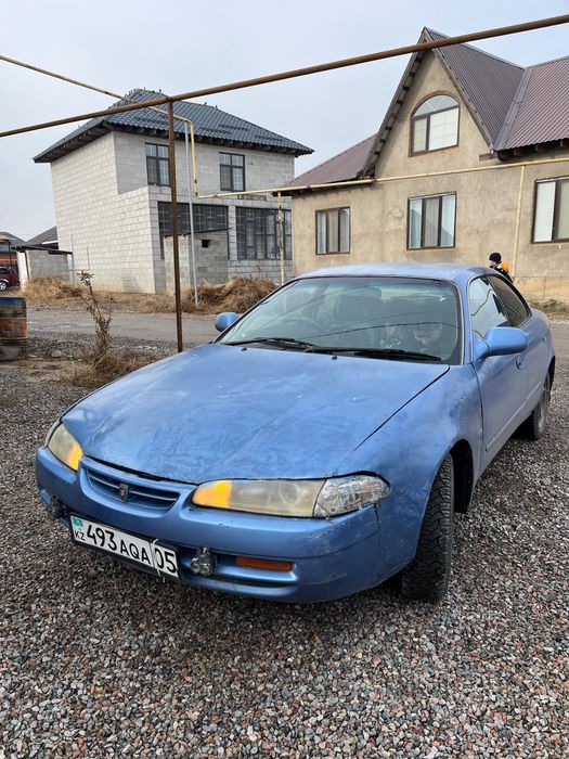 Таета спринтер марино