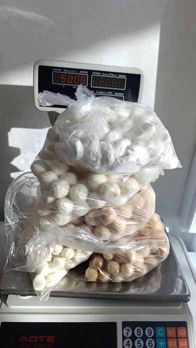 Балғын, дәмді құрттар