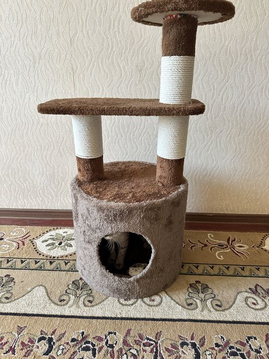 Домик для кошек