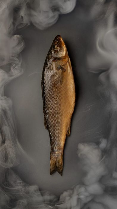 Рыбные деликатесы Алматы