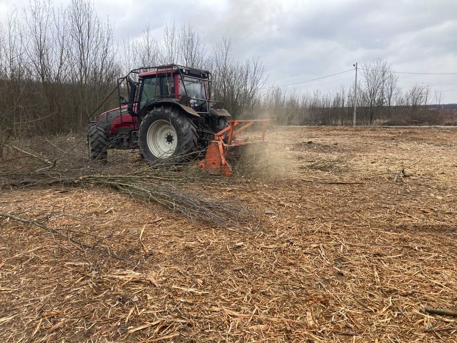 Curatare teren de vegetatie : ambrozie, arbusti, buruieni, maracini