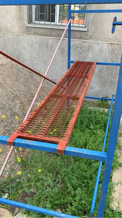 Леса шымкент, прокат леса , аренда леса