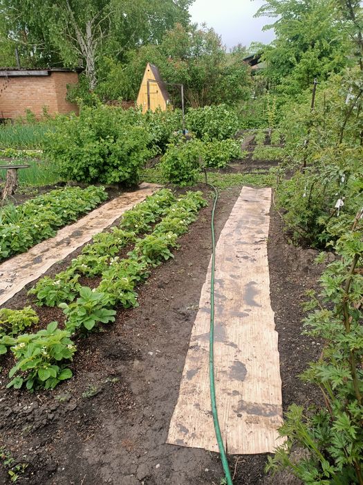 Дачный участок. С/о Самоцветы