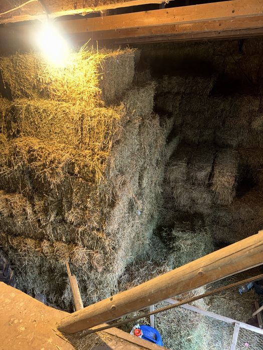 Baloti de fan si lucerna