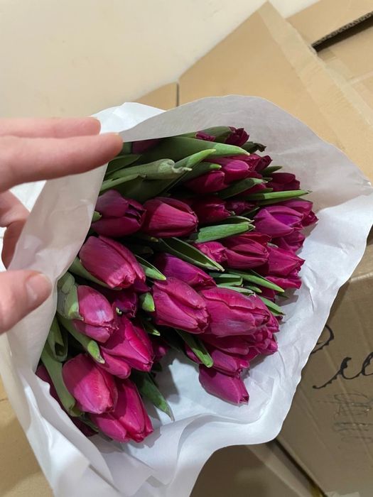 Тюльпаны местные