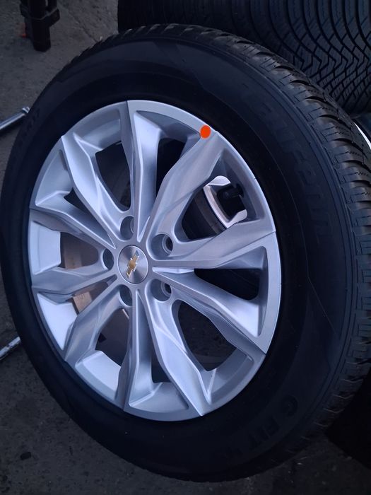 17 malibu premer arginal diska balon