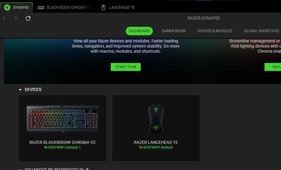 Kit periferice Razer Lancehead TE + Blackwidow Chroma v2