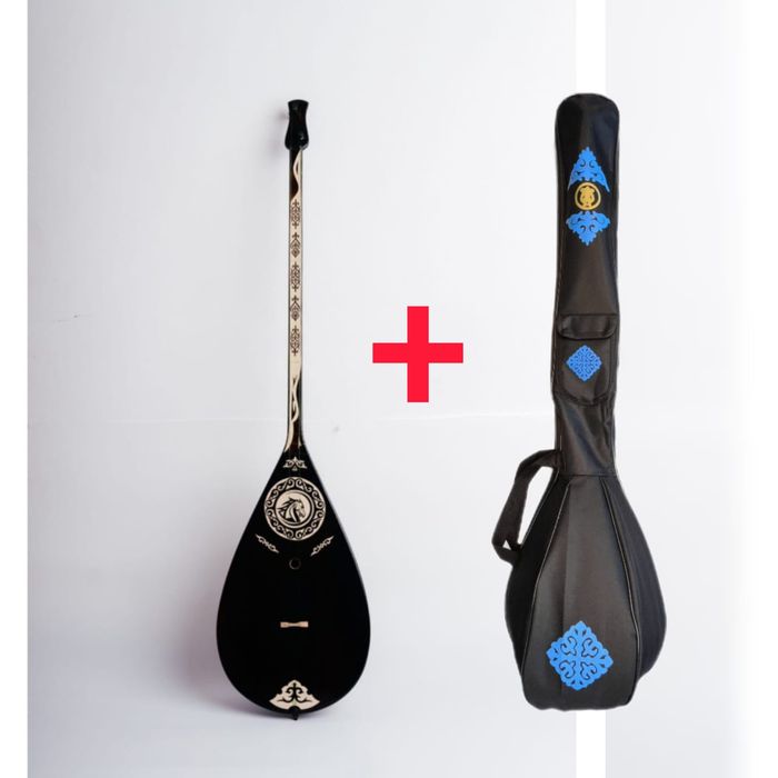 домбыра чехолымен