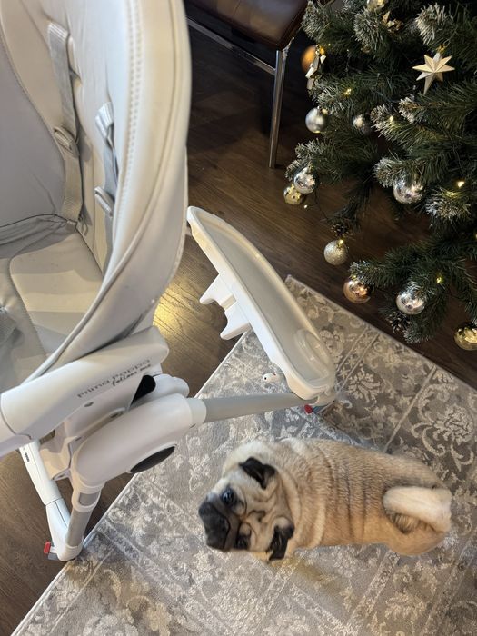 Столче за хранене Peg Perego