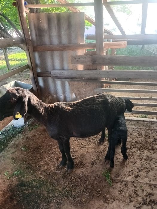 140.000 тенге#₽₽₽₽